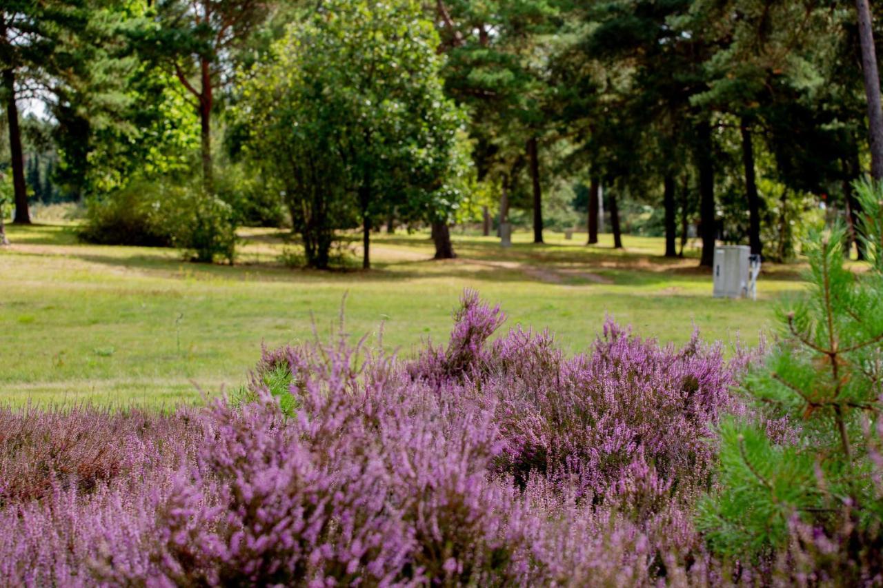 Naturcamping Lueneburger Heide - Chalets & Tiny Haeuser Soltau Bagian luar foto